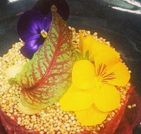 The Shack Cafe - Tourism Noosa
