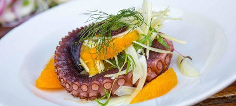 O Bar & Restaurant - Tourism Noosa 3
