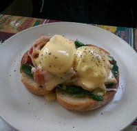 Cafe 176 - Tourism Noosa