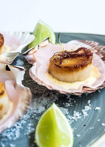 Aristotle's Neutral Bay - Tourism Noosa 1