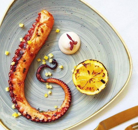 Aristotle's Neutral Bay - Tourism Noosa 20