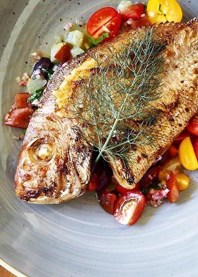 Aristotle's Neutral Bay - Tourism Noosa 2