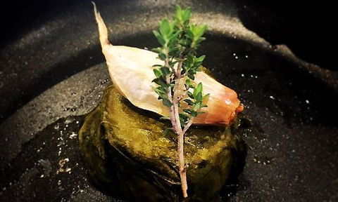 Aristotle's Neutral Bay - Tourism Noosa 7