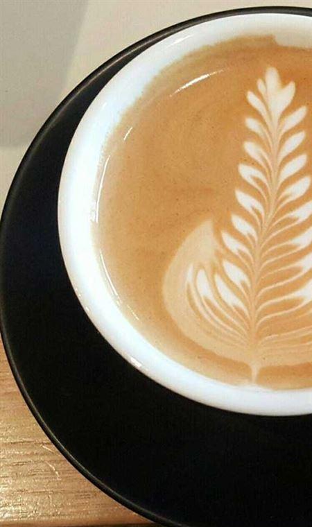 Attaboy Roy - Tourism Noosa 4