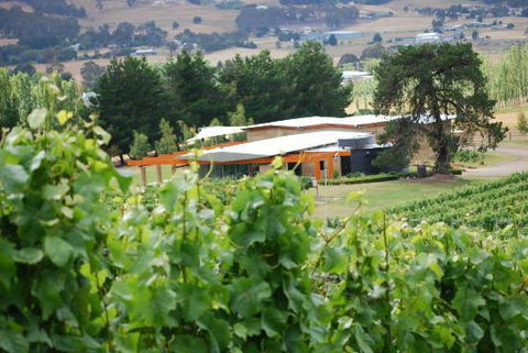Home Hill Winery Restaurant - Tourism Noosa 12