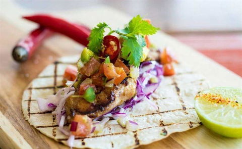 Tacocat - Tourism Noosa 10