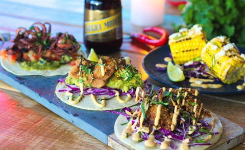 Tacocat - Tourism Noosa 5