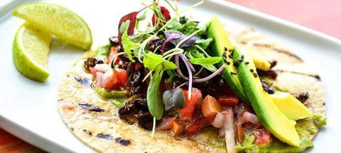 Tacocat - Tourism Noosa 6