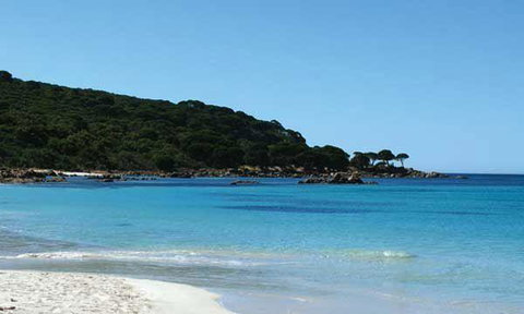 Bunkers Beach House - Tourism Noosa 10