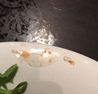 The Colonial Hotel - Tourism Noosa