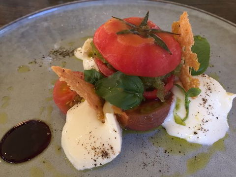 Foglia Di Fico - Tourism Noosa 0