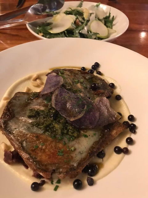 Foglia Di Fico - Tourism Noosa 2