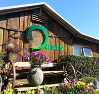 Zen Oasis Vegetarian Restaurant - Tourism Noosa