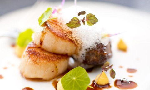 J.J Express - Tourism Noosa 2