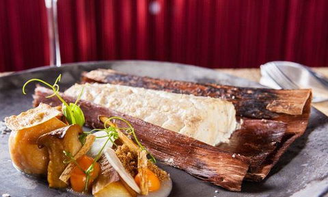 J.J Express - Tourism Noosa 4