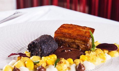 J.J Express - Tourism Noosa 8