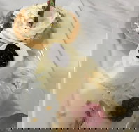 The Archie Secret Cafe - Tourism Noosa