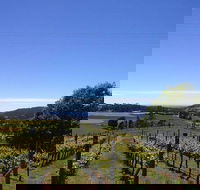 Barringwood Vineyard and Cellar Door Restaurant - Tourism Noosa