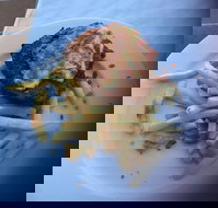 Bayside Inn - Tourism Noosa