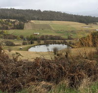 Fat Pig Farm - Tourism Noosa