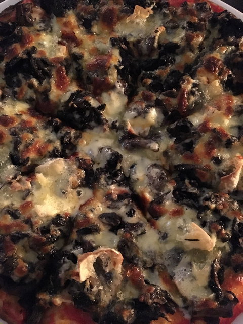 Fat Quoll Woodfire - Tourism Noosa 16