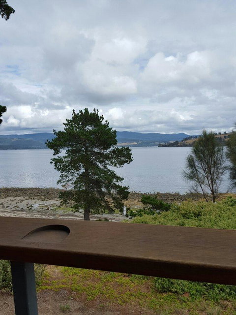 Jetty Cafe - Tourism Noosa 4