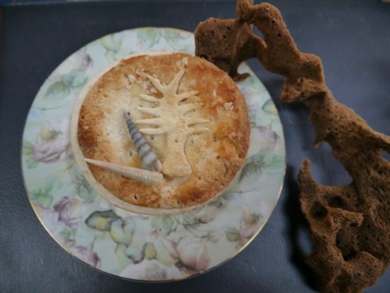 Currie TAS Tourism Noosa