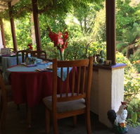 Lazy Teas - Tourism Noosa