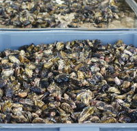 Lease 65 - Tourism Noosa