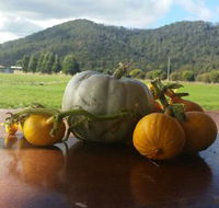 Mount Gnomon Farm - Tourism Noosa