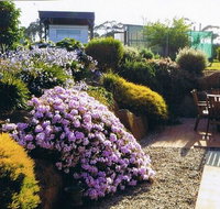 Pipers River Tea House and Crafts - Tourism Noosa