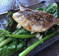 Mesa by Casellas - Tourism Noosa