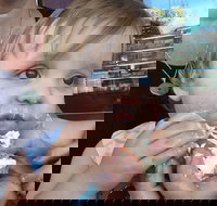 Rose's Bakery - Tourism Noosa