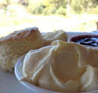 Tanglefoot Winery Cafe - Tourism Noosa