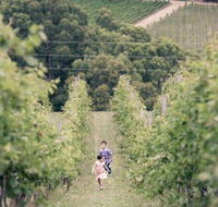 Greenhill Wines - Tourism Noosa
