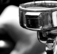 MOJOs - Tourism Noosa