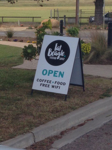 Fat Beagle Coffee Shop - Tourism Noosa 3