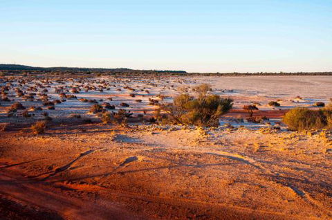 Mozie's Truckstop & Diner - Tourism Noosa 0