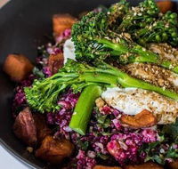 The Hungry Monkey - Tourism Noosa