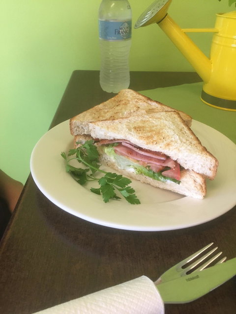 Snackleberry - Tourism Noosa 2