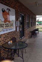 Fat Dog Cafe & Restaurant - Tourism Noosa 3