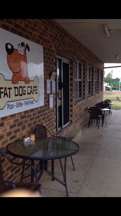 Fat Dog Cafe & Restaurant - Tourism Noosa 4