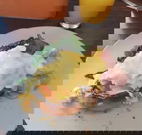 Stock Bar  Grill - Tourism Noosa