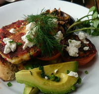 Green Turtle Cafe  Bar - Tourism Noosa