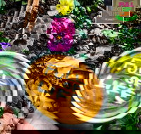 Full of Life Organics - Tourism Noosa