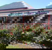 Coffee Pozzee Pty Ltd - Tourism Noosa