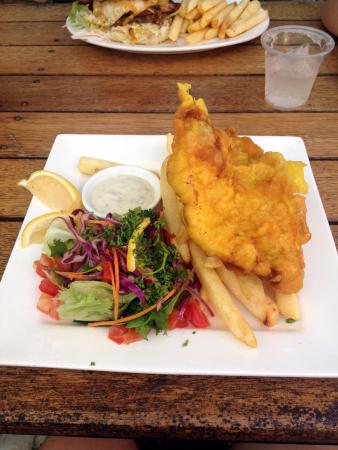 Dingo Beach QLD Tourism Noosa
