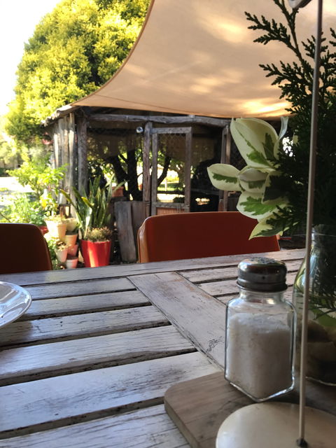 Fanny Mae's Cafe - Tourism Noosa 2