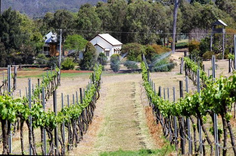 Prendergasts Irish Tavern - Tourism Noosa 0