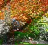 The Woods Ravensbourne - Tourism Noosa